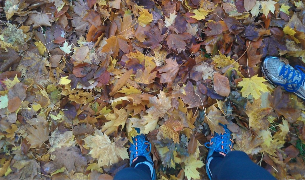 Parkrun Richmond Park